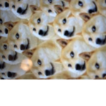 Dog SMP