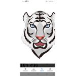 Tiger Fandom!