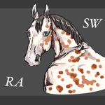 Silent Wish Riding Academy