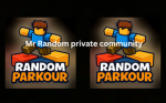 Mr Random private community