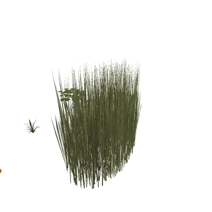 wetland pack