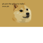 shiba uni