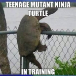 ORIGINAL TURTLE SQUAD!!!!