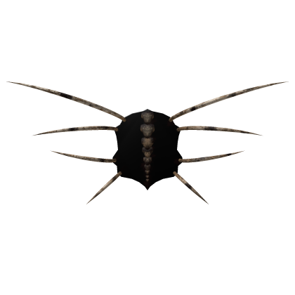 Spider ribs scary emerging from the back