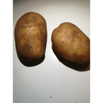 Potato squaad