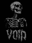 Skelleton Void