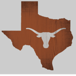 The longhorns