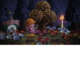fairy