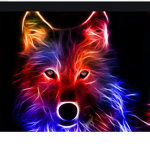 #rainbow wolf group