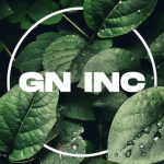 Gamenight Interactive