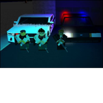 NDSO: Special Weapons and Tactics