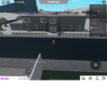 Bloxburg!!!!:)