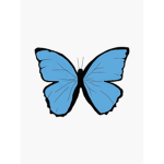 butterfly x army