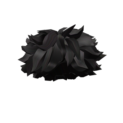 Black Messy Curly Hair