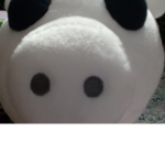 Giving robux to my sister and me
