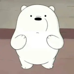 Die coolen Eisbären:)