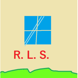 REAL-LIFE SIMULATION
