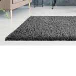 Rug simulator