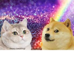 The_Meme_Club.