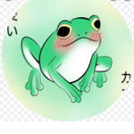 The froggie team