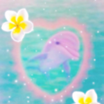 - dolphin cove -
