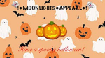 !•MOONLIGHTS•APPEARL•!