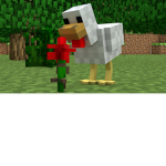 MINECRAFT CHICKENS
