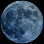Galaxy_Wolf_Dragon