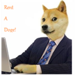Rent a Doge!