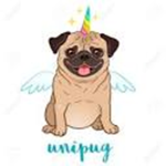 Pegasus Pugs!