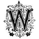 ♥Absolutely Wonder♥