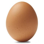 team egg mr.