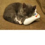 catso gaming fan group