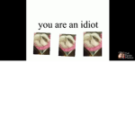 FunnySheeps group.