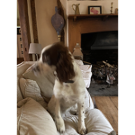 Graceandalfie