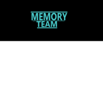 The offical Memory Team