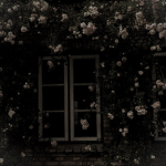 Magic's Closet ୨୧