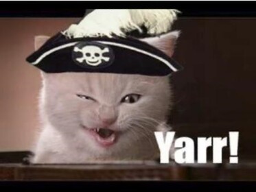 Awesome Cat-Beard PARTY!!!!!!!!!!!!!!!!!!!!!!!!