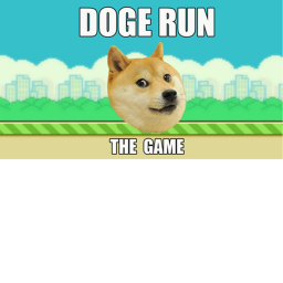 Finity running DoGE