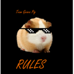 Team Guinea Pig Forever