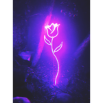The Alliance Community