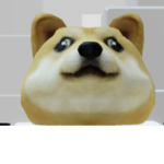 Doges Are People