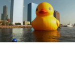 Ducks are good and great and good