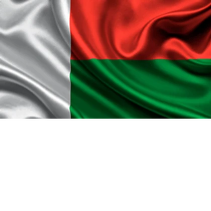 [Mad] Madagascar Sports Teams Roblox group icon