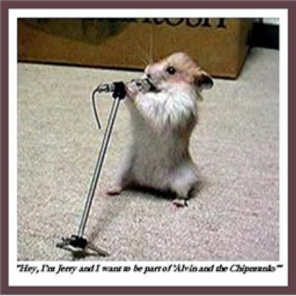 funny gerbil Roblox decal