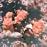 Flo Aesthetics <3