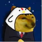 doges comunity