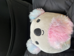 Koala 2