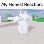 Roblox super duper fans!