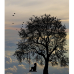 Lonely.Day